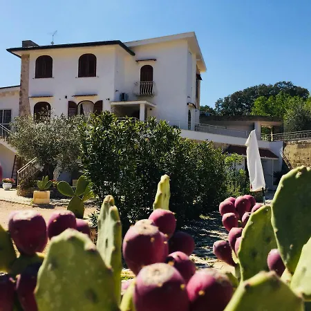 Tenuta Cardinale Frühstückspension