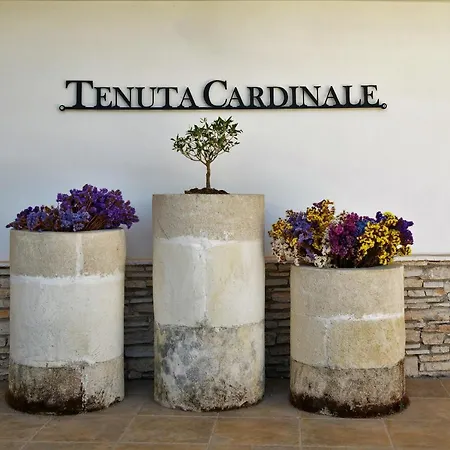 Tenuta Cardinale Bed & Breakfast Manduria