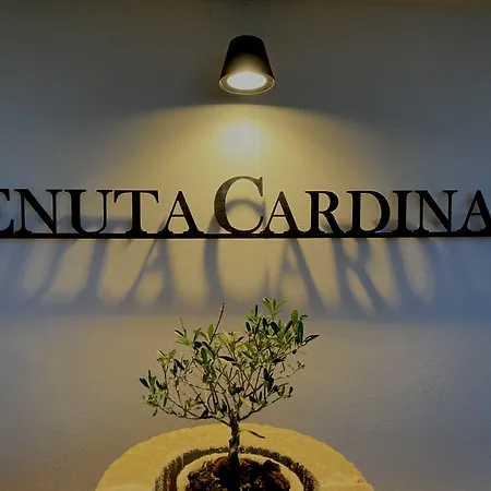 Tenuta Cardinale Panzió